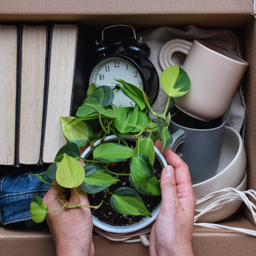 Clear the Clutter: Decluttering Tips and the Benefits of Textile Recycling