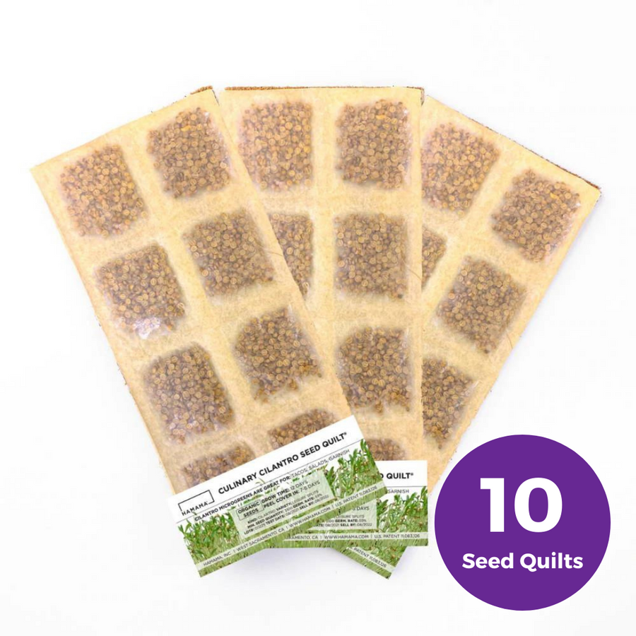 Hamama: Culinary Cilantro Seed Quilt - 10 Pack