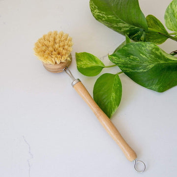 Zero Waste Store: Long Handle Dish Brush