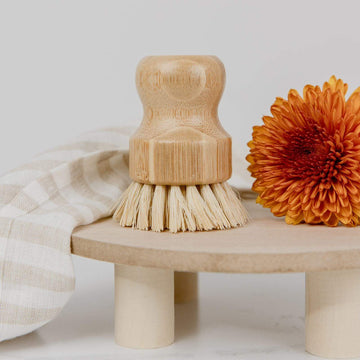 Zero Waste Store: Dish Brush