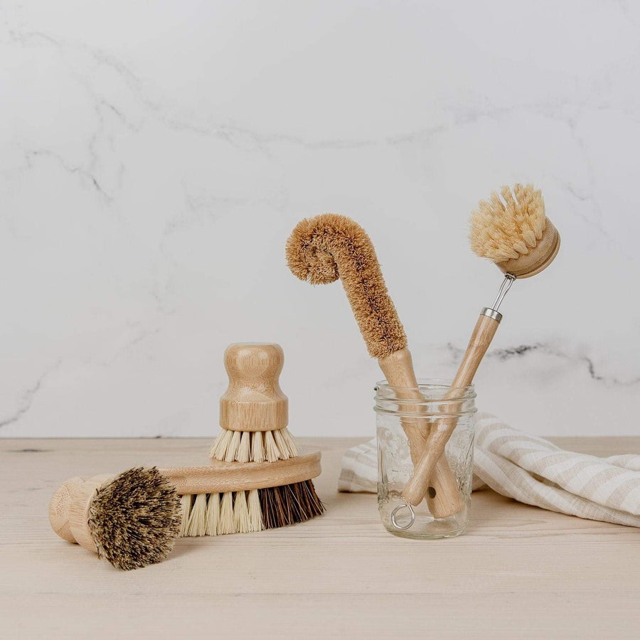 Zero Waste Store: Dish Brush